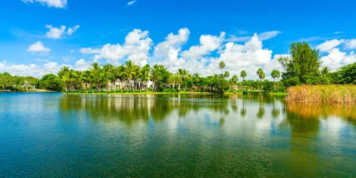 Luxury homes and waterfront properties in Miami Lakes, South Florida.